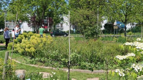 Une journée scientifique et un séminaire, le 27 septembre à l’Horti-Pôle Évreux (27), va aborder le rôle de l’enseignement agricole dans la démarche Végétal local. ©O.Maillard